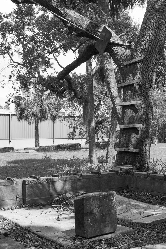 No. 0663 23 Photography Art | Jason Poblete Photography