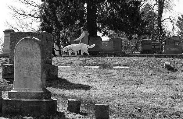 Memento Mori Memento Mori