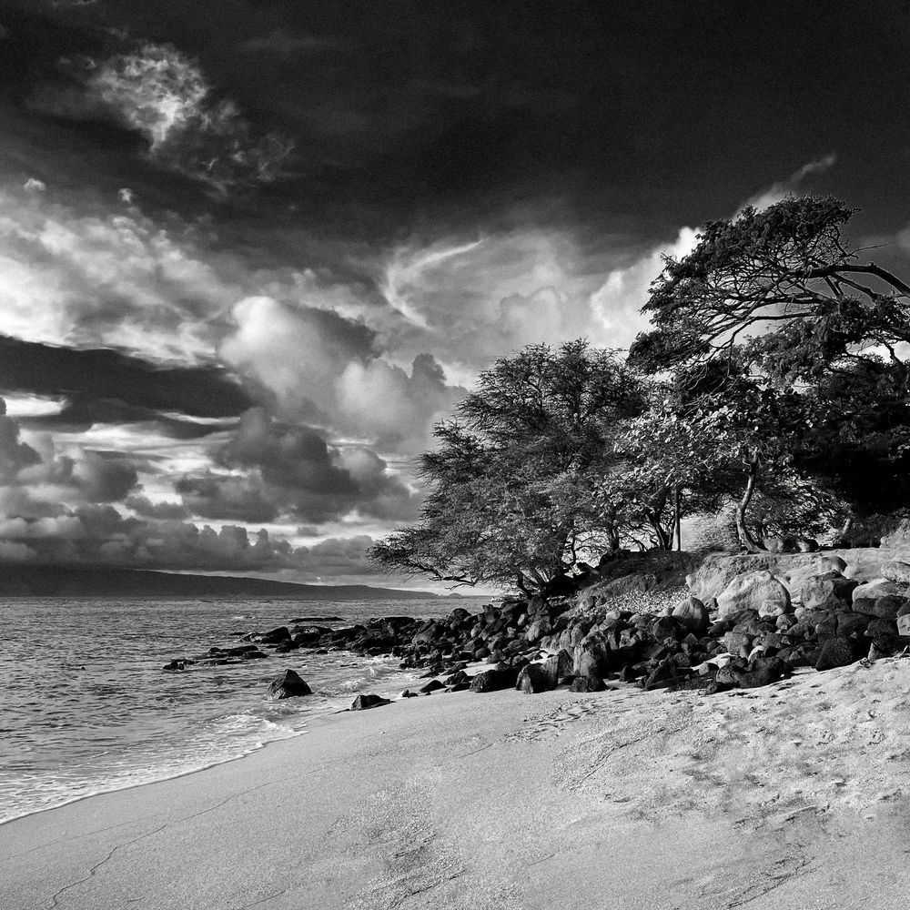 Buried Treasure Sp Art | Sky + Sparks Luxury Fine Art