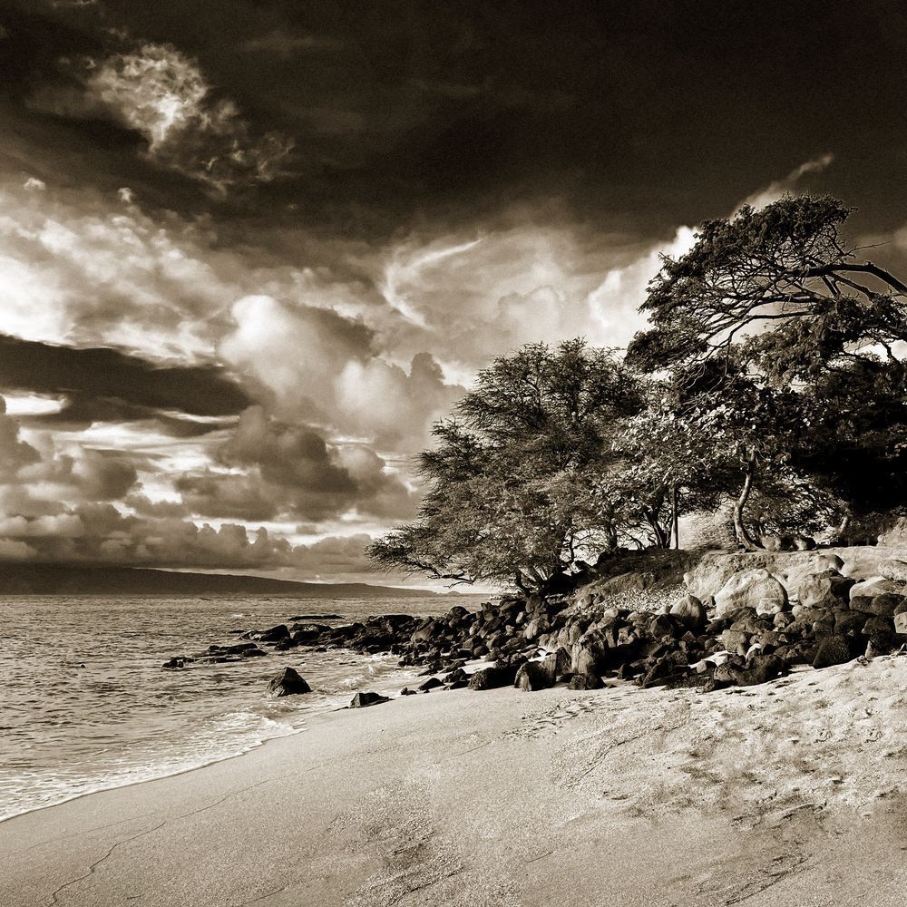 Buried Treasure Cs Art | Sky + Sparks Luxury Fine Art