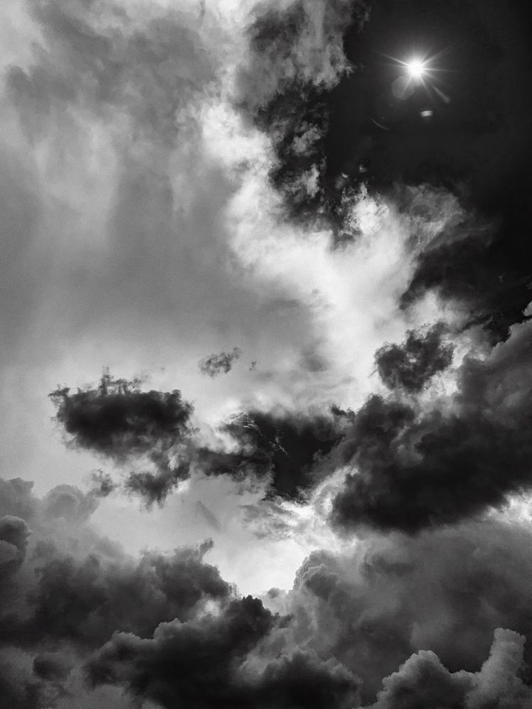 Apollos Sunlit Symphony Sp Art | Sky + Sparks Luxury Fine Art