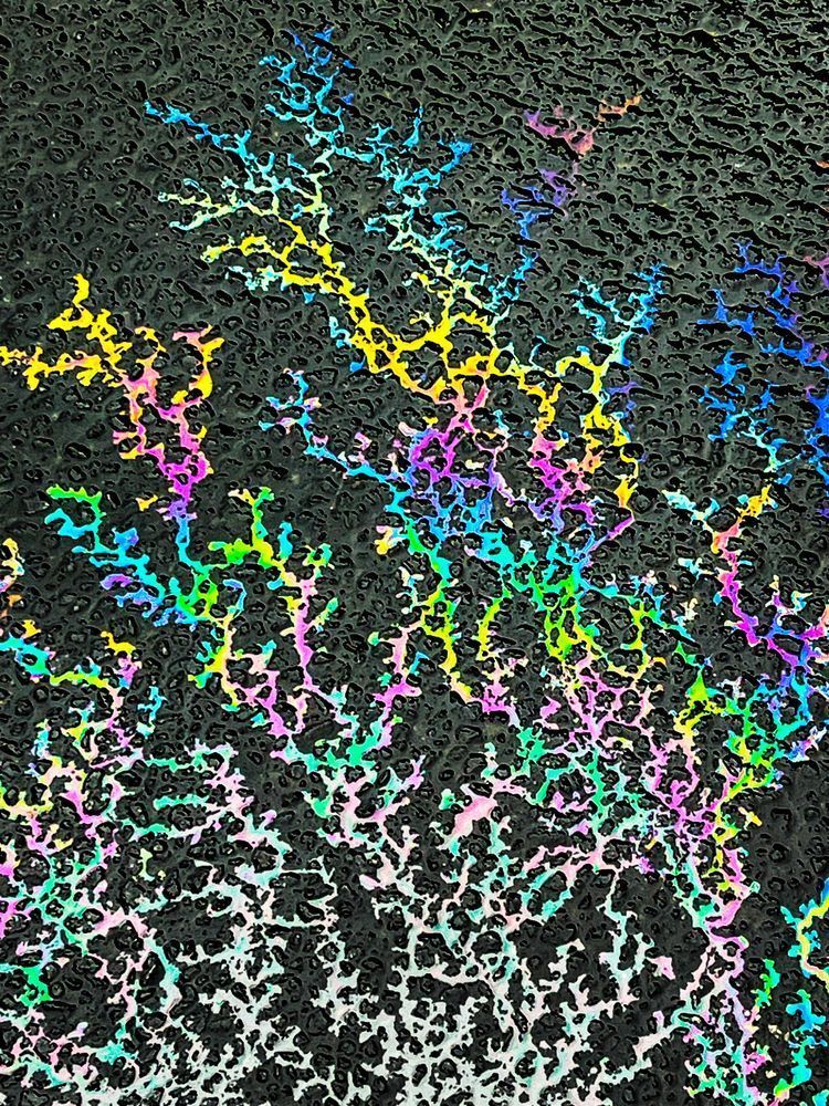 Arboreal Aura Art | Sky + Sparks Luxury Fine Art