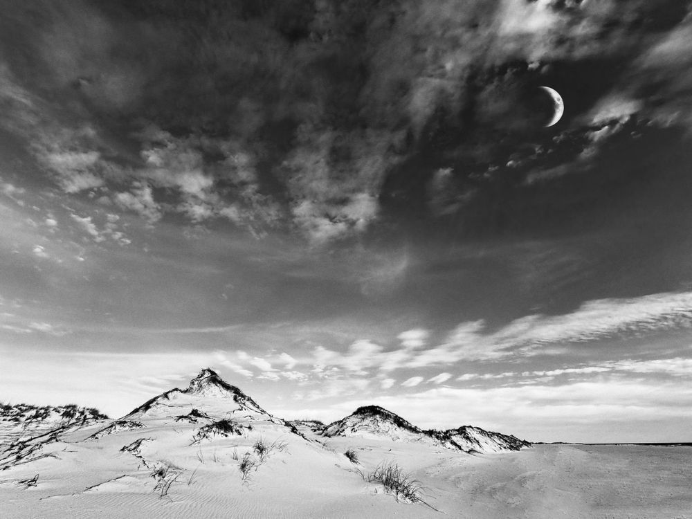 Dune Sculptures Sp Art | Sky + Sparks Luxury Fine Art