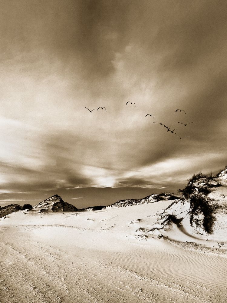 Dunes In Flight Cs Art | Sky + Sparks Luxury Fine Art