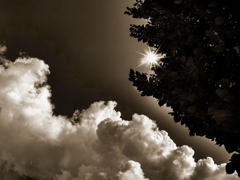Demeters Forest Clouds Cs Art | Sky + Sparks Luxury Fine Art