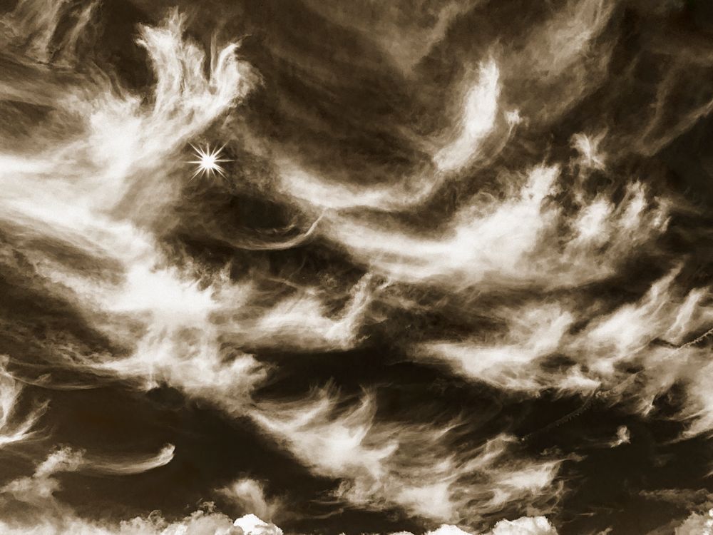 Dianas Delicate Sunlit Veil Cs Art | Sky + Sparks Luxury Fine Art