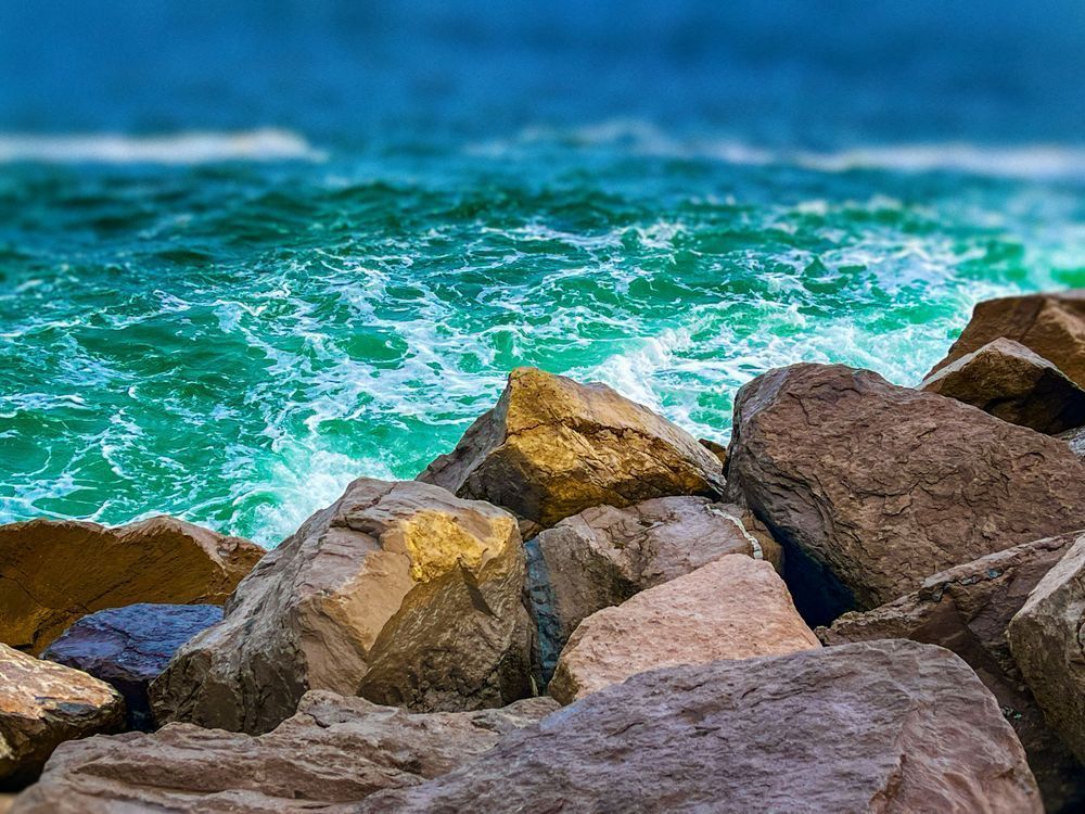 Emerald Edge Art | Sky + Sparks Luxury Fine Art