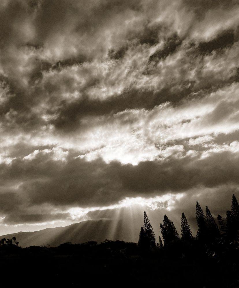 October In Maui Cs Art | Sky + Sparks Luxury Fine Art