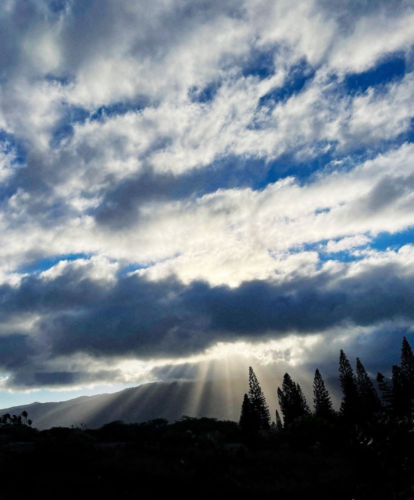 October In Maui Clr Art | Sky + Sparks Luxury Fine Art