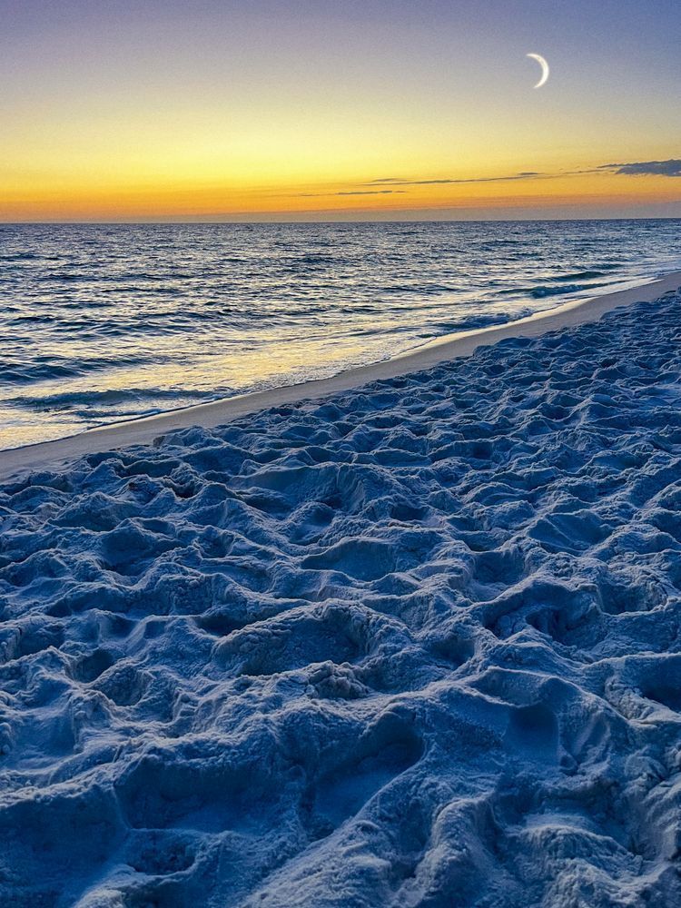 Ocean Radiance Art | Sky + Sparks Luxury Fine Art