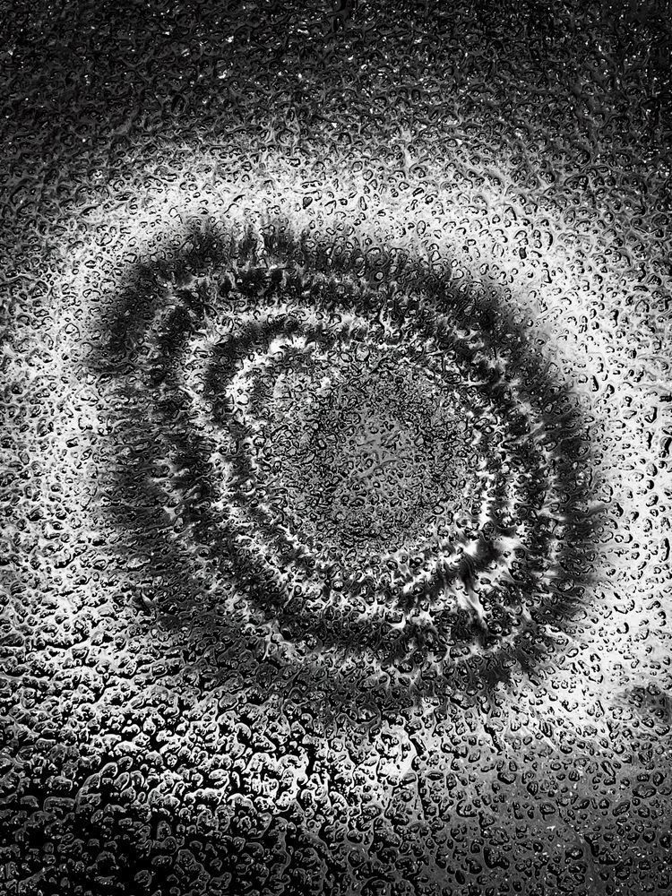 Oil Spot Sp Art | Sky + Sparks Luxury Fine Art