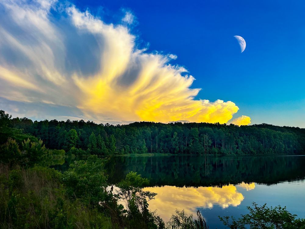 Moonrise Over Arcadia Art | Sky + Sparks Luxury Fine Art