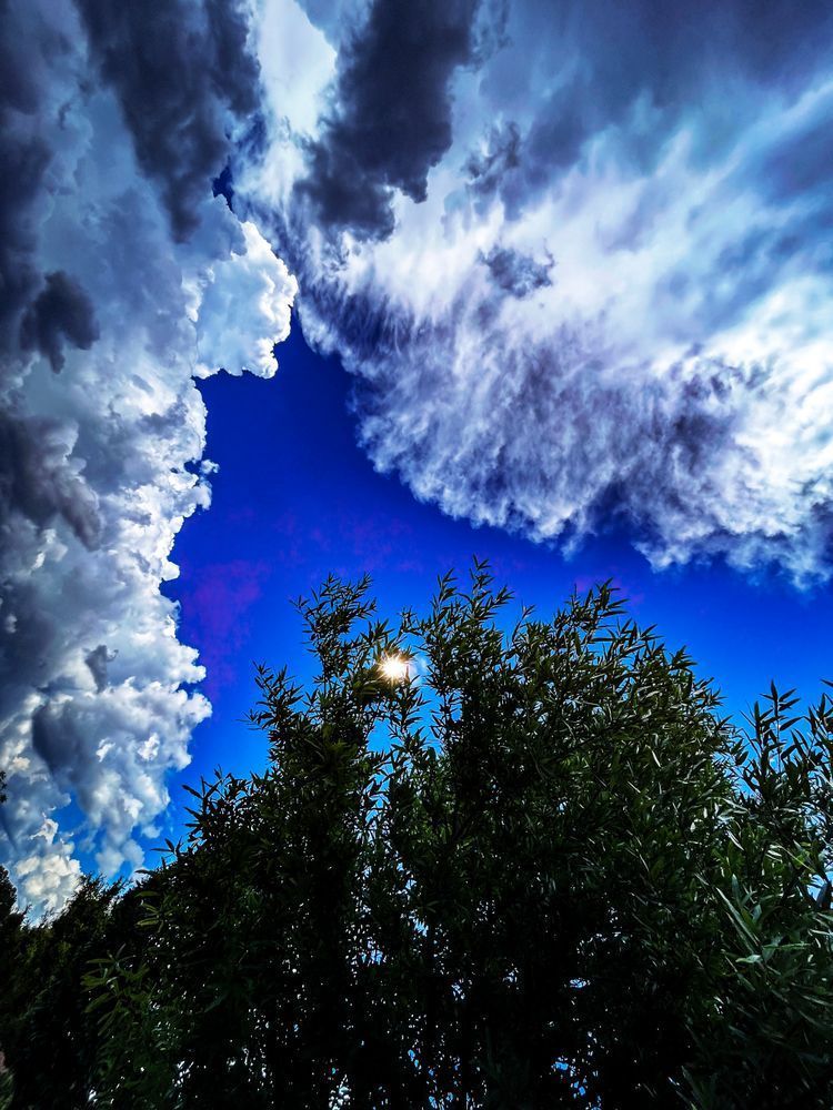 Rage Of Silvanus Clr Art | Sky + Sparks Luxury Fine Art