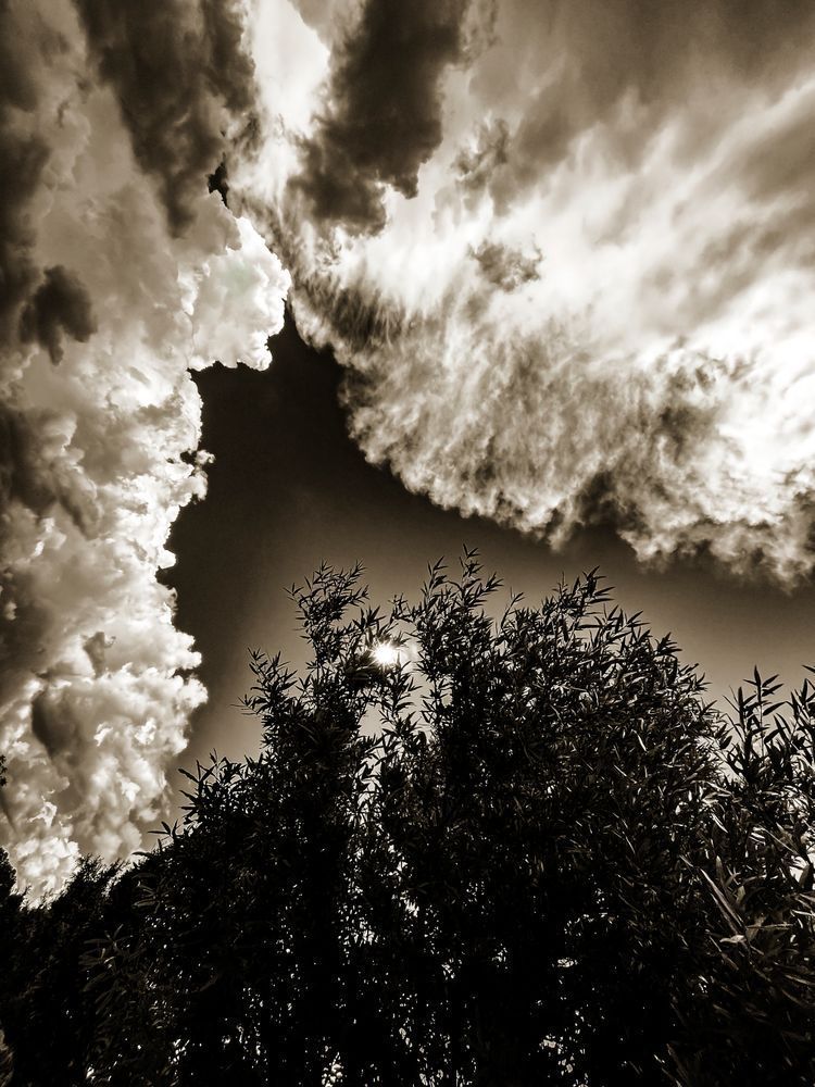 Rage Of Silvanus Cs Art | Sky + Sparks Luxury Fine Art