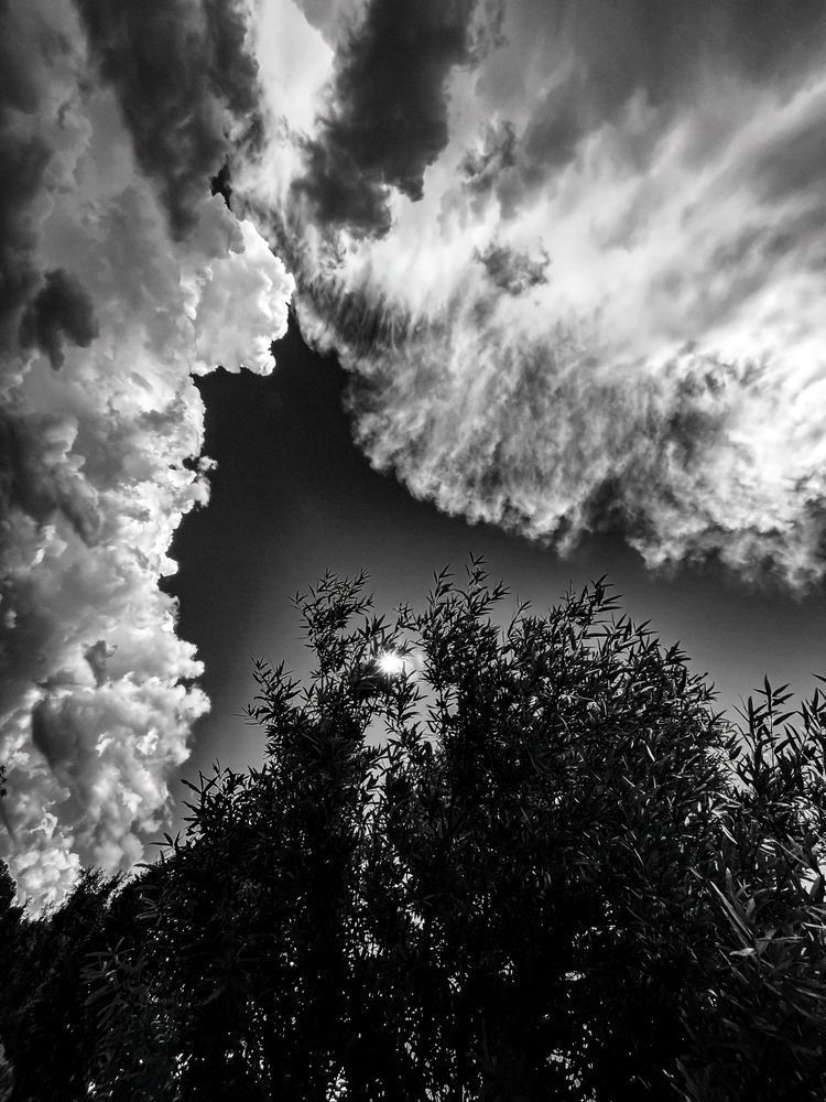 Rage Of Silvanus Sp Art | Sky + Sparks Luxury Fine Art