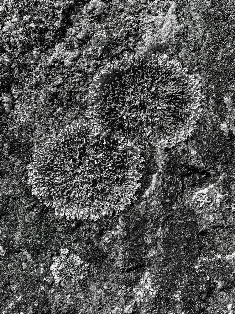 Rock Spots Sp Art | Sky + Sparks Luxury Fine Art