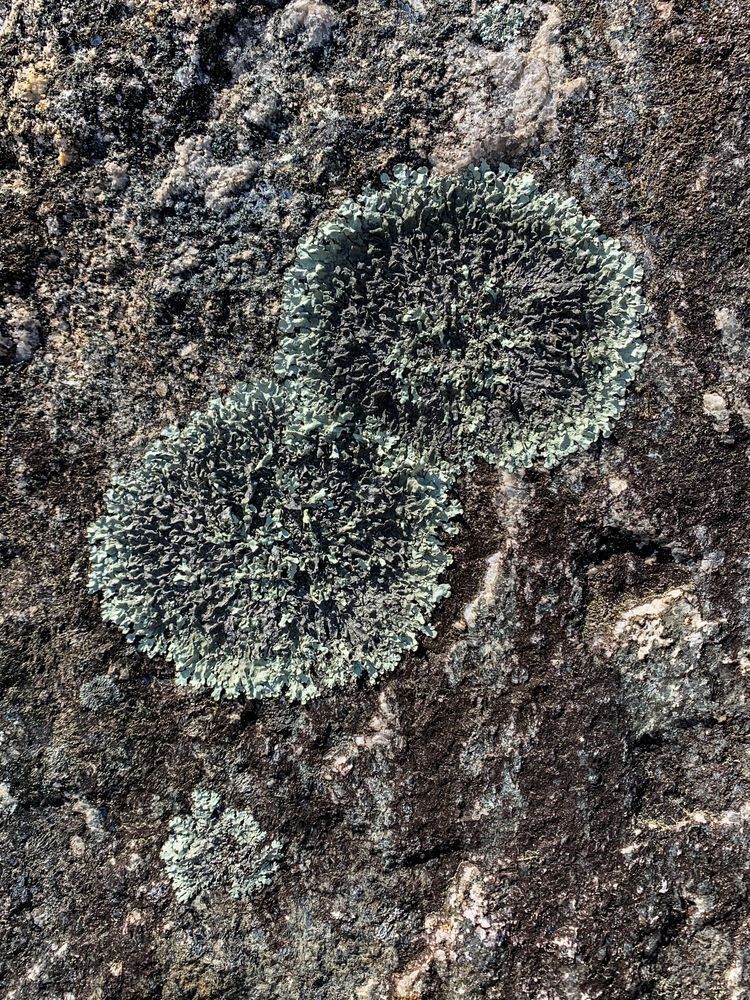 Rock Spots Clr Art | Sky + Sparks Luxury Fine Art