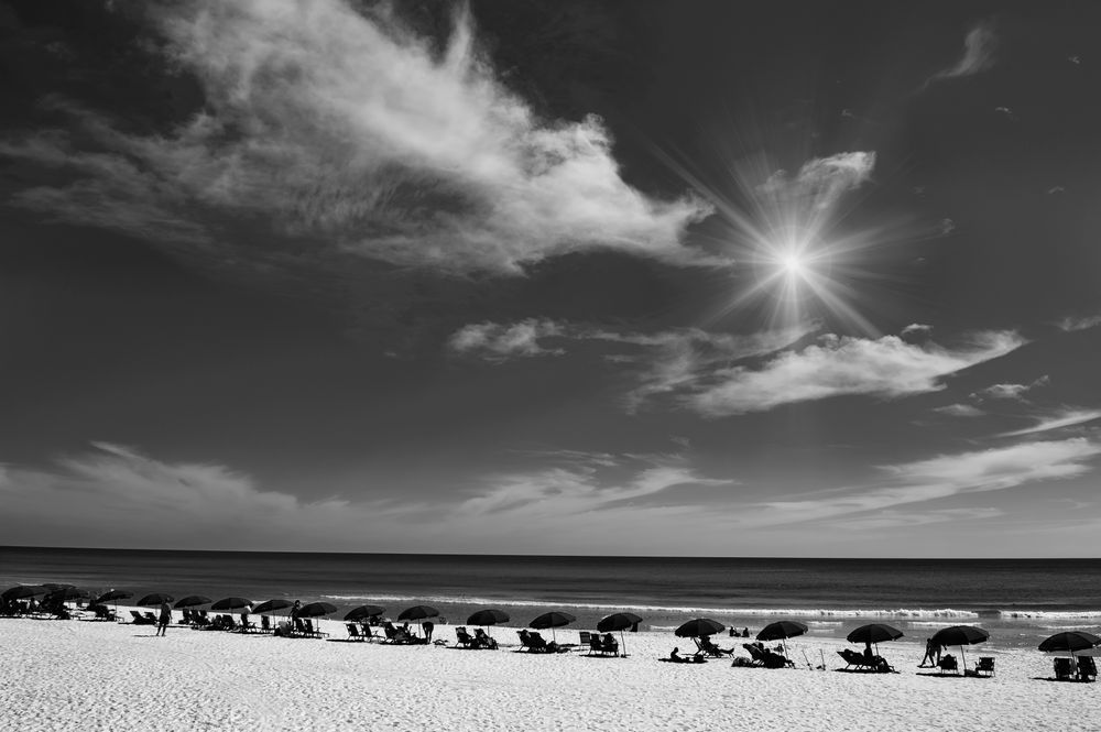 Sun Day Sp Art | Sky + Sparks Luxury Fine Art