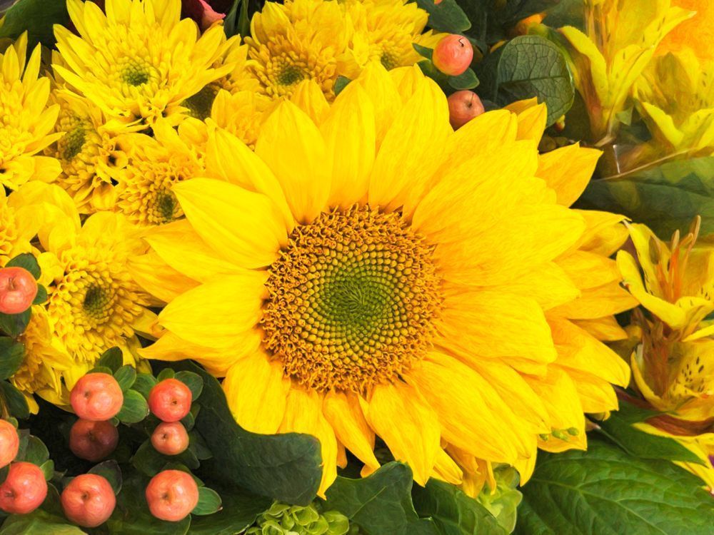 Sun Glow Yellow Bouquet Clr Art | Sky + Sparks Luxury Fine Art