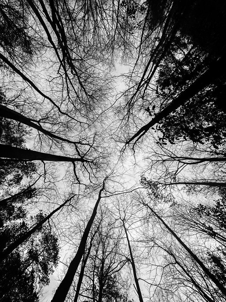 Skyward Bound Sp Art | Sky + Sparks Luxury Fine Art
