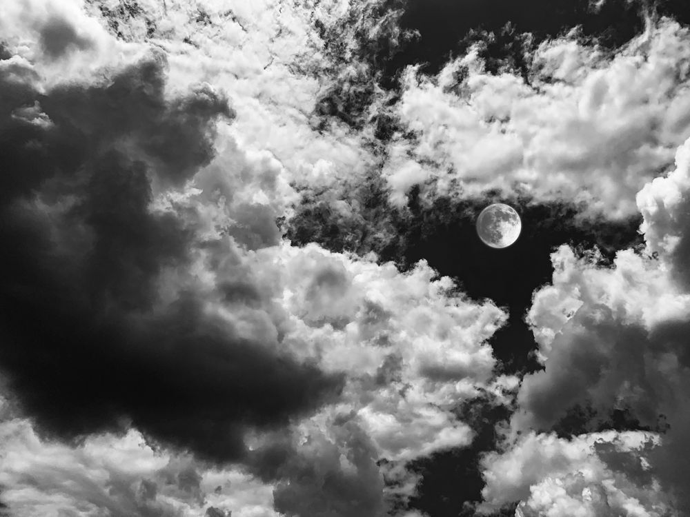 Pegasus Moon Sp Art | Sky + Sparks Luxury Fine Art