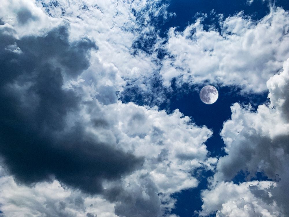 Pegasus Moon Clr Art | Sky + Sparks Luxury Fine Art