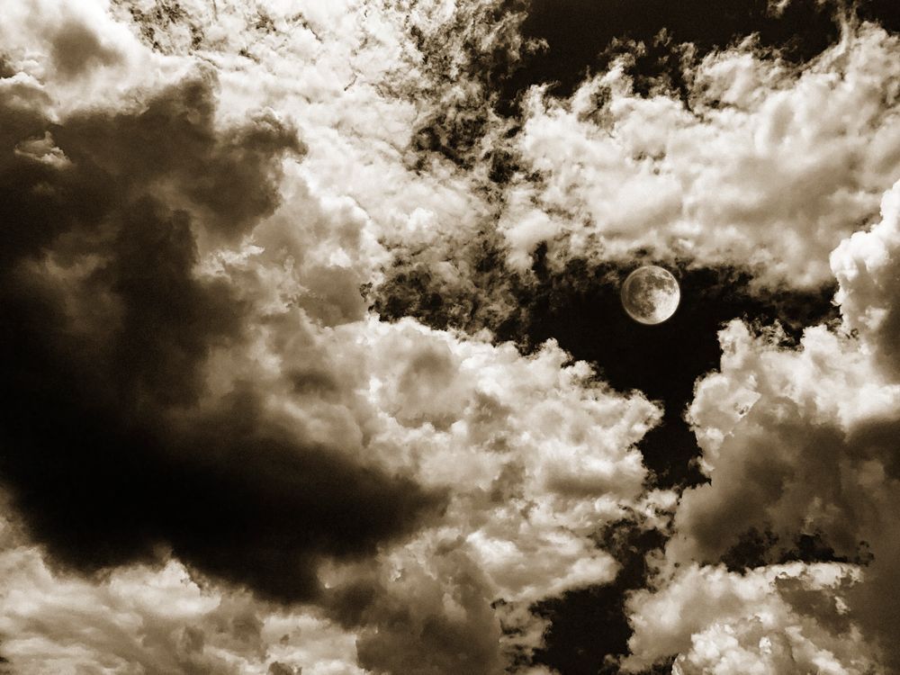 Pegasus Moon Cs Art | Sky + Sparks Luxury Fine Art