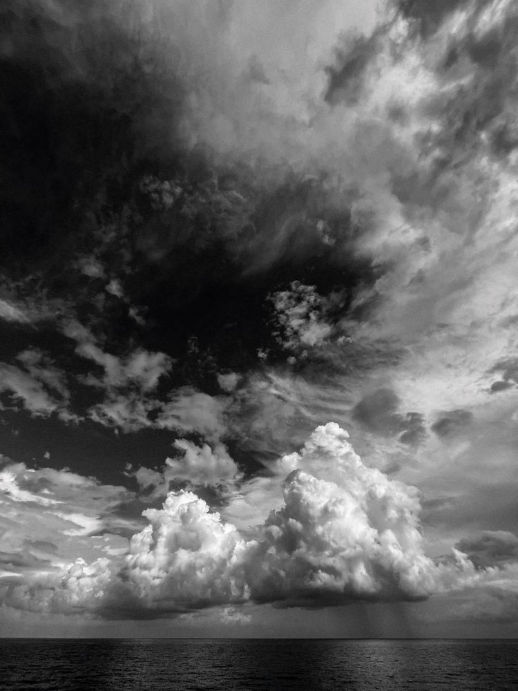 Poseidon Receives A Gift Sp Art | Sky + Sparks Luxury Fine Art