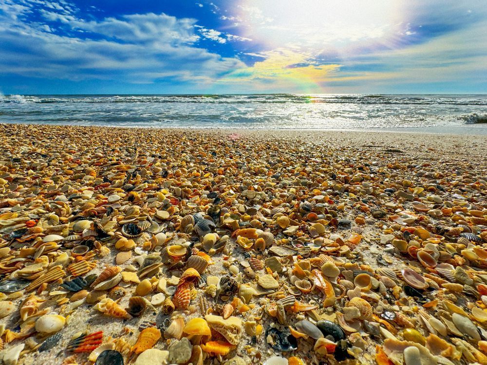 Treasures Of The Tide Art | Sky + Sparks Luxury Fine Art