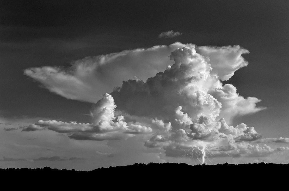 Zues Arrives Sp Art | Sky + Sparks Luxury Fine Art