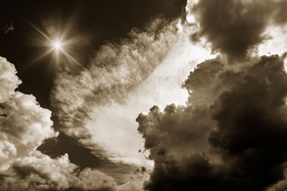 Zuess Is Watching Cs Art | Sky + Sparks Luxury Fine Art