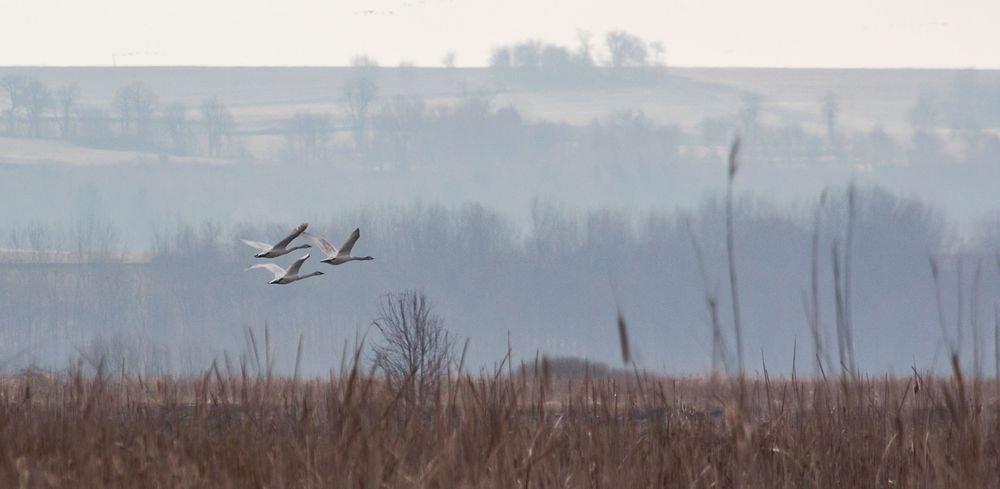 The Ledge At Horicon Photography Art | JP Photography LLC
