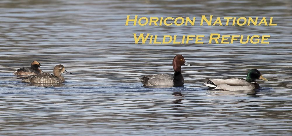 Hnwr 11oz Horicon Diversity Photography Art | JP Photography LLC