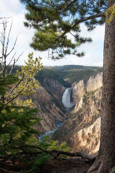 Yellowstone