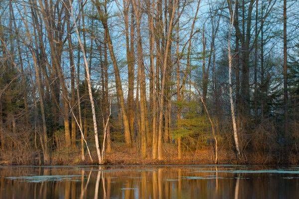 Landscapes
