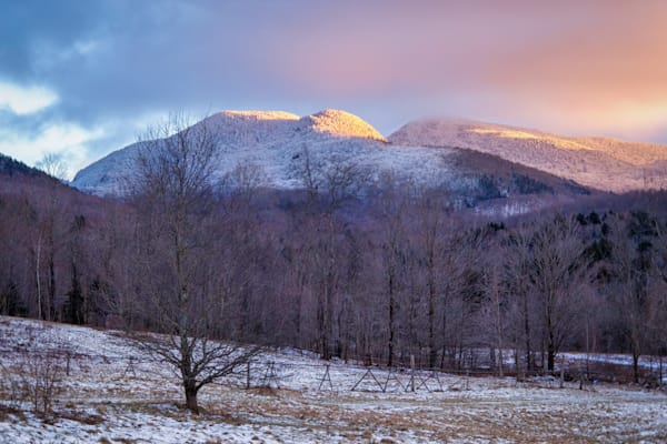 Winter Splendor