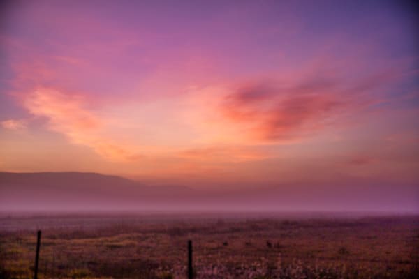 Dawn & Dusk