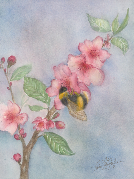 Pollinator Series