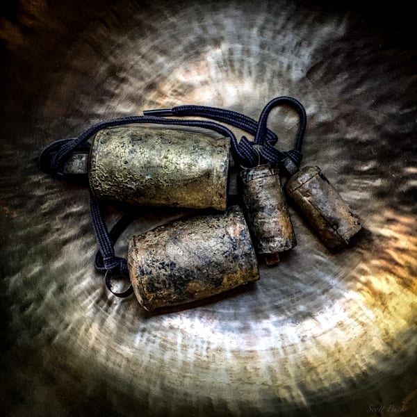 Cow Bells Photography Art | scottbuck