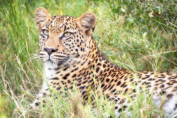 Botswana