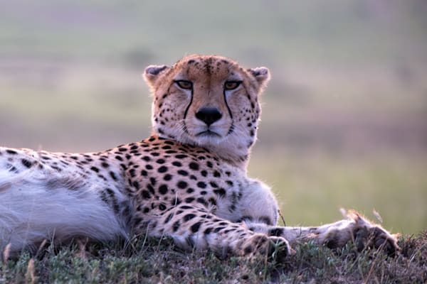 Kenya