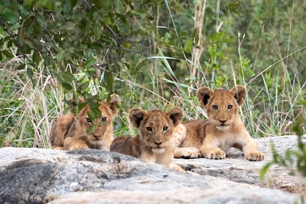 South Africa