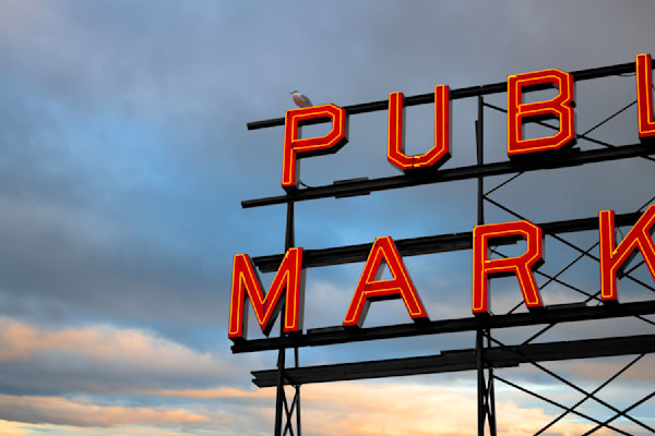 Public Market Art | Jorge Meraz Artist