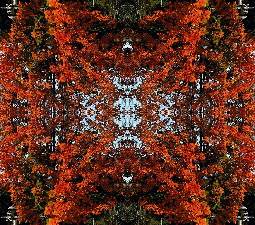 Mdawmdawmdawmdaw7qgraepd6cacehr zcfbfywxu2fyveayeunrgwctqqqltnerwweter6yomfiojy24adow ljj7f22f2vd2s3k0fn 38ezqodftc2xeuhdjufahdziomokxodj3hs jg da6ji5eudq olwagpj5emn5sr16tw93lcumgyhjiu5fnejfhbll9sdpvvveqresywynnw kydbjz7qsosaaklyfwi m2bl ghfqh6uvubbpjqzilucflwulyo8akewlyndpbcjwmhxprtmemismhaeygz 8mp3g0ot59sxjkgmpfpkyj5 8jaq