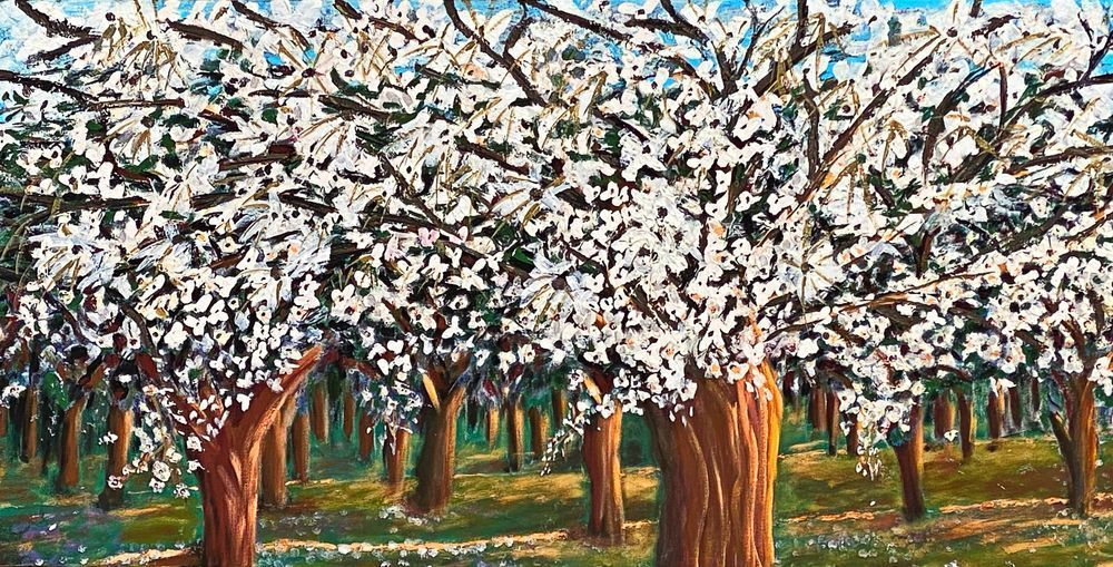 Cherry Blossoms Art | Shevetone Art Gallery