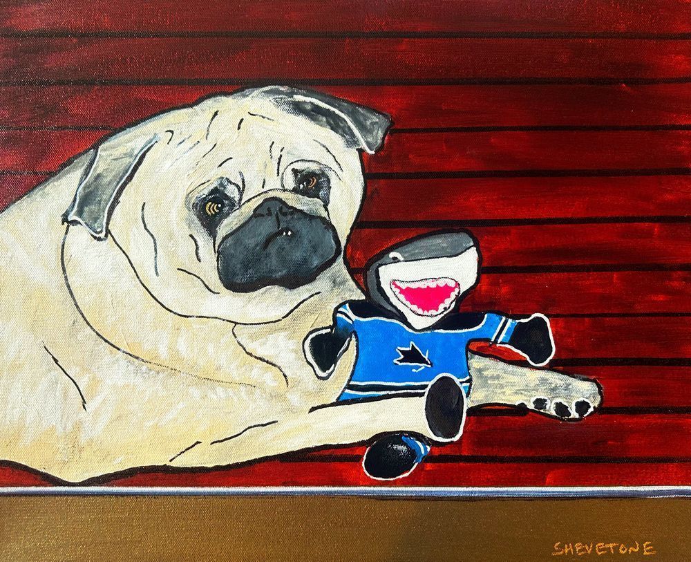 Sharkie Art | Shevetone Art Gallery