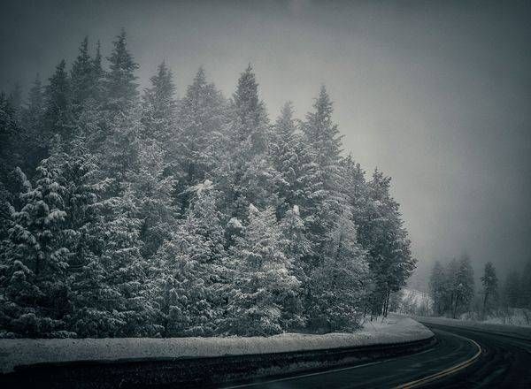 Winter Curve