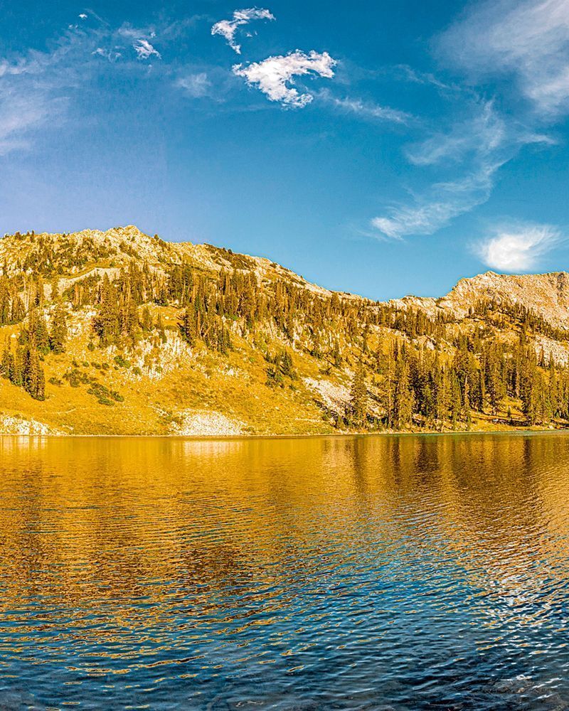 Red_Pine_Lake_Tryptyc_2