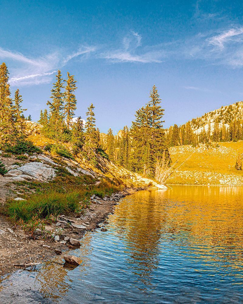 Red Pine Lake tryptyc