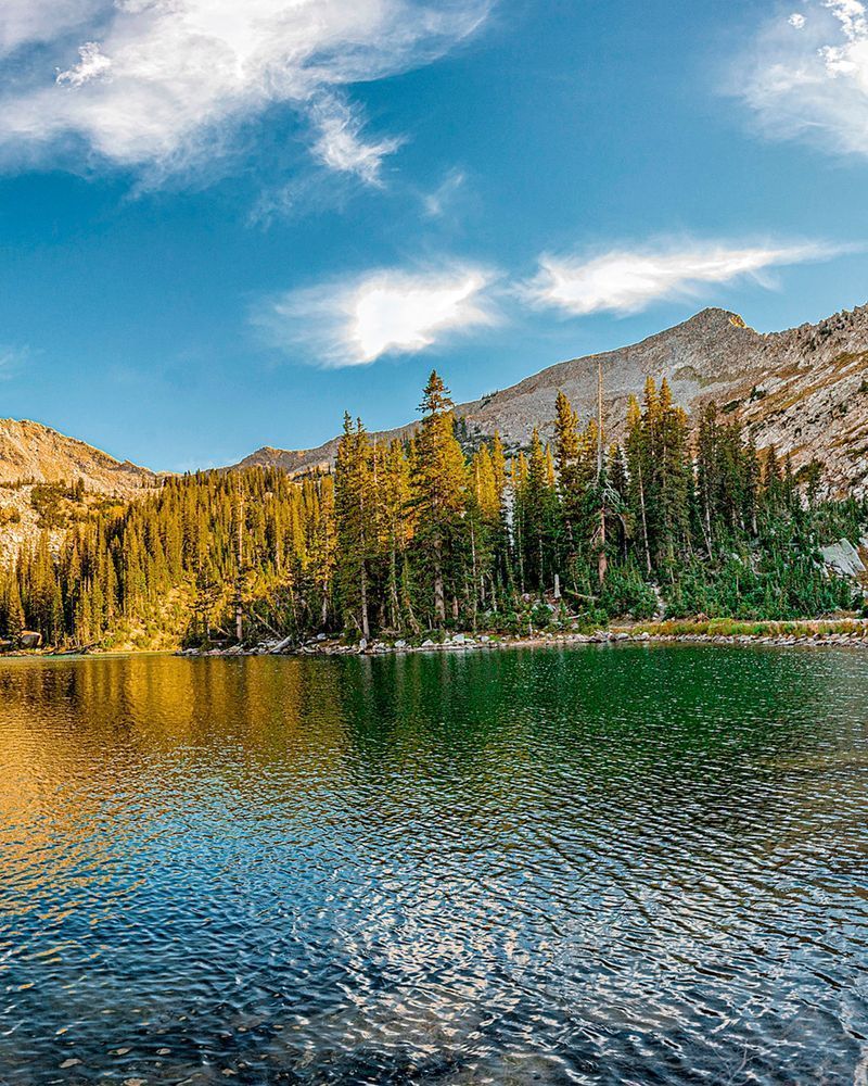 Red_Pine_Lake_Tryptyc_3